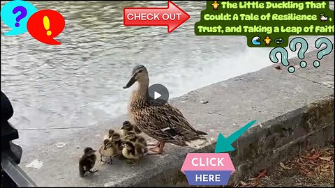 🦆 The Little Duckling That Could: A Tale of Resilience 🦆, Trust, and Taking a Leap of Faith 🌊🐥