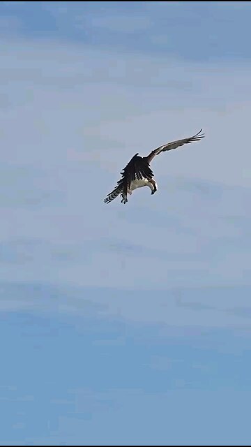 Photography Excellence