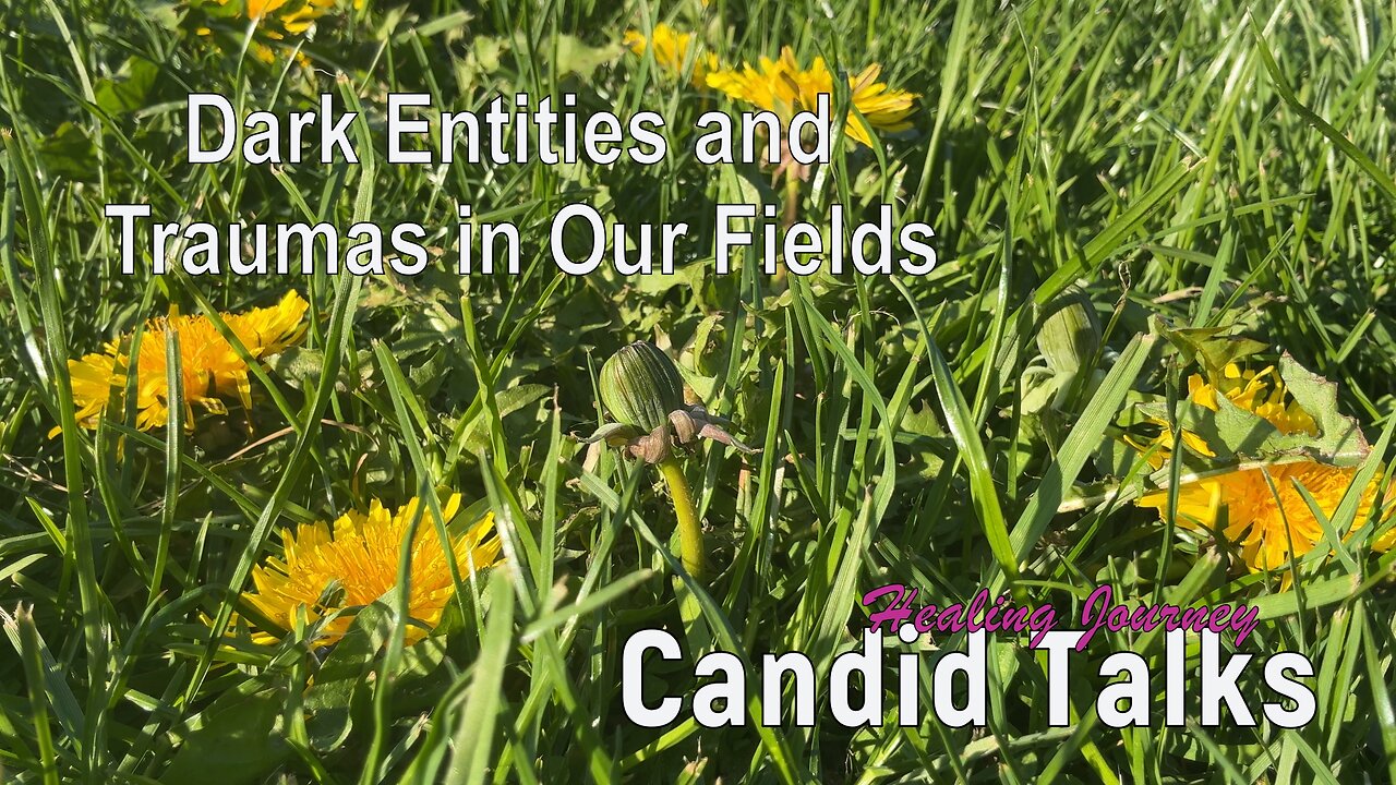 🌟 How I Visualize Reality P.2 | Candid Talks 007| The Entities and Traumas in Our Fields #podcast