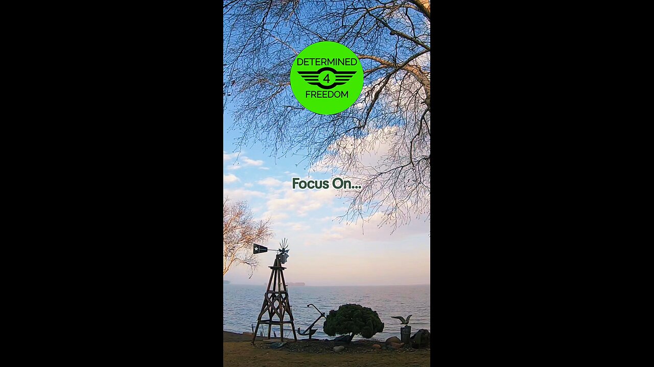 Focus On...