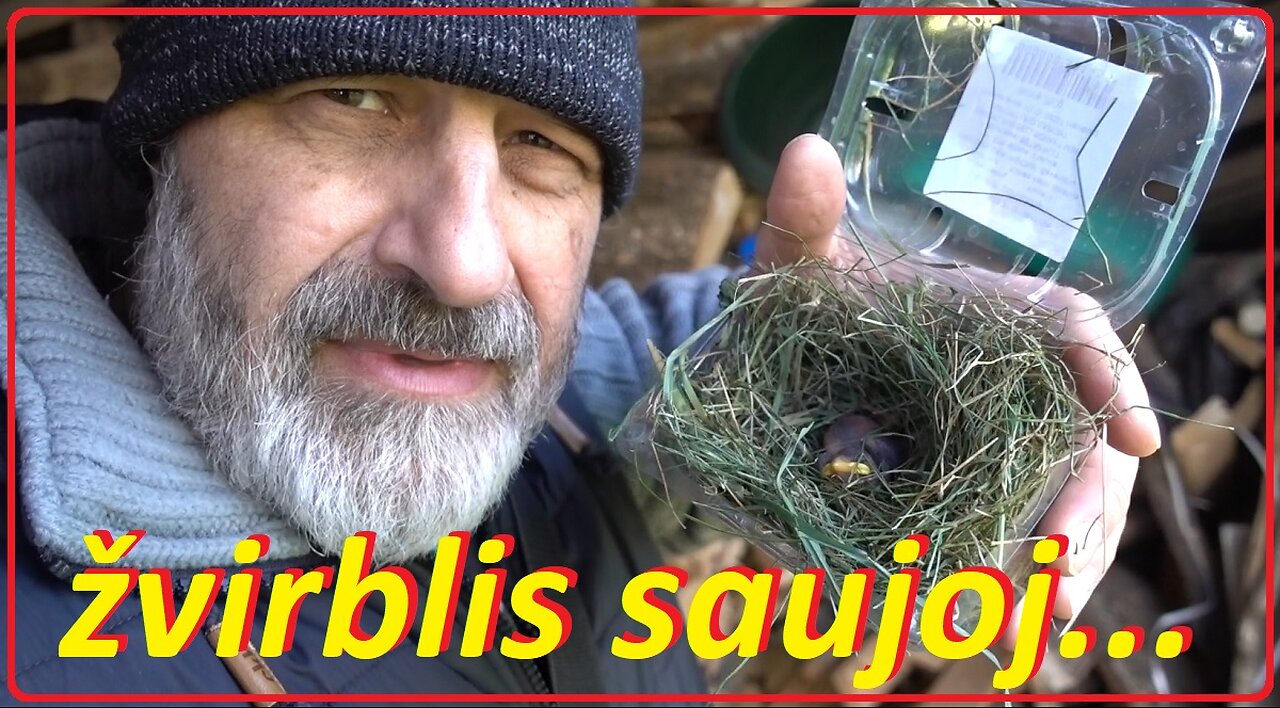 Kai žvirblis saujoj...