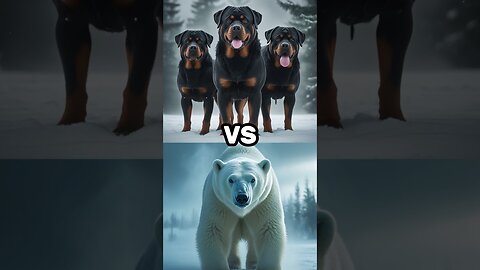 Rottweiler vs Lion vs Hyena vs Polar Bear vs Ostrich