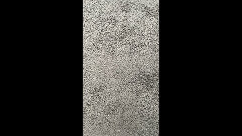 Test 1