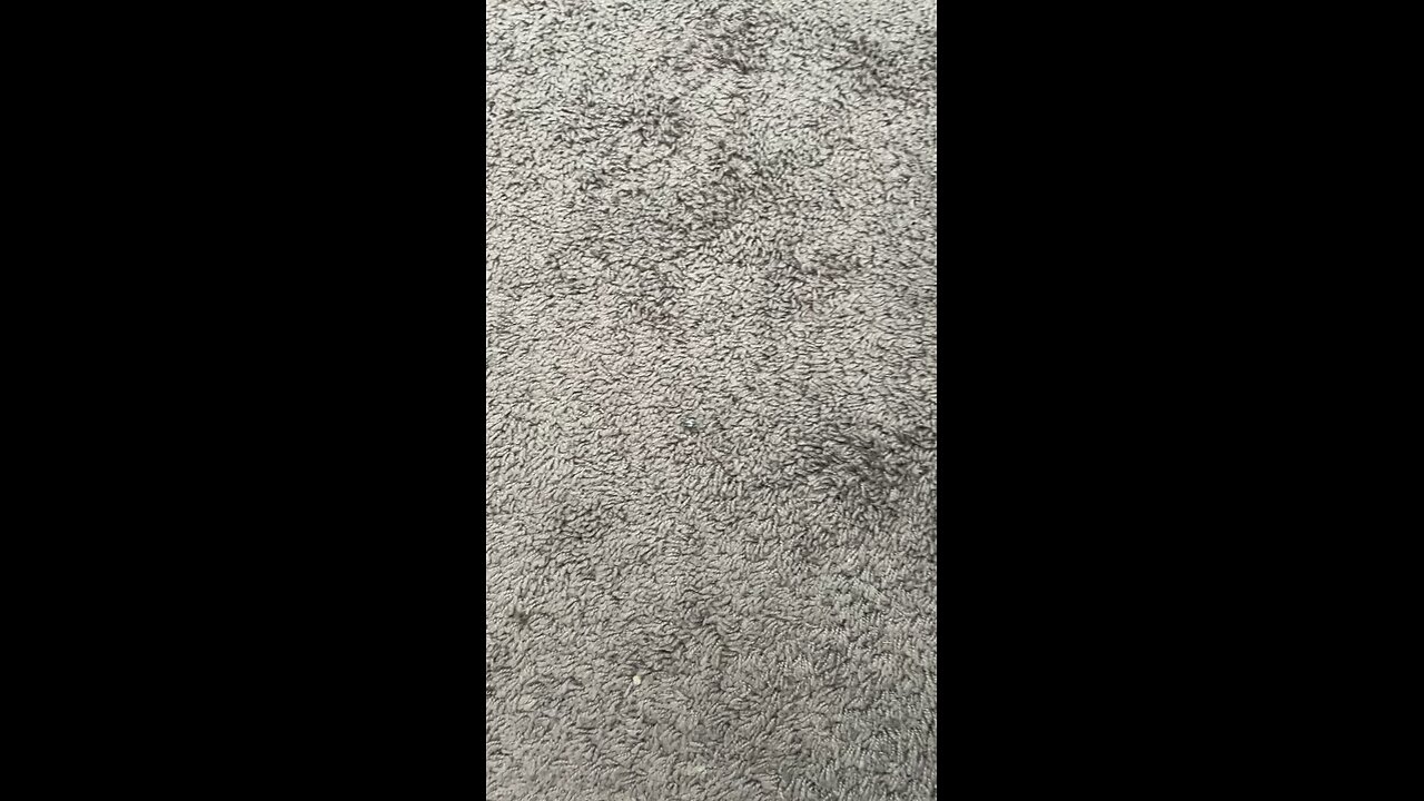 Test 1