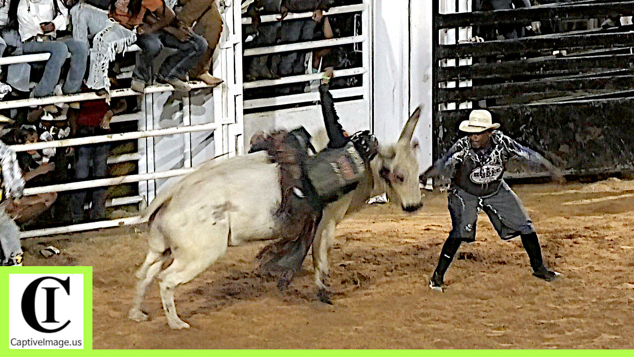 Bull Riding - 69th Okmulgee Roy LeBlanc Invitational Rodeo 2024 | Saturday