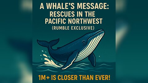 A Whale’s Message: Rescues in the Pacific Northwest (Rumble Exclusive)