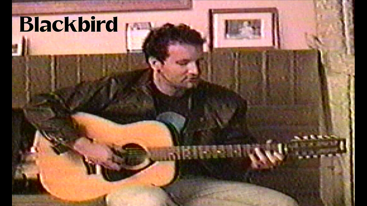Dziadulewicz Sings Blackbird