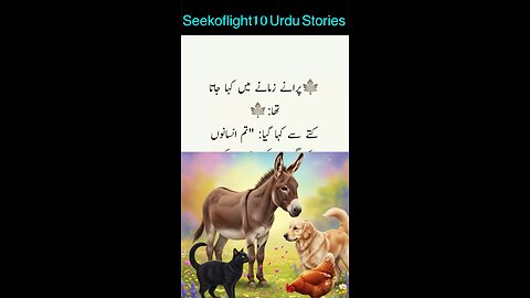 #storielove #urdustories #horrornovels #lovenovels #RomanticNovels #islamicstories