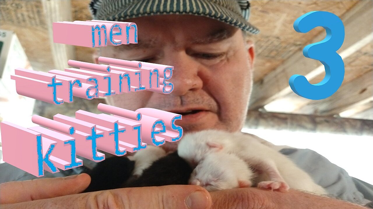 men training kitties 3