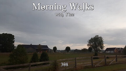 Morning Walks with Yizz 308