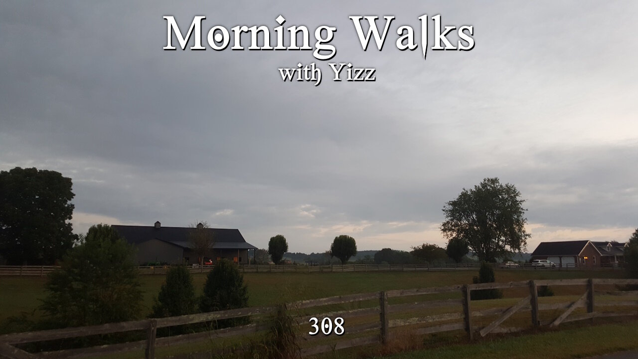 Morning Walks with Yizz 308