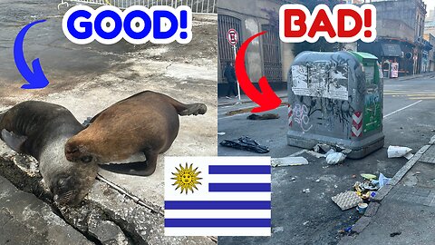 🇺🇾 5 things I LOVED and 5 things I HATED about visiting URUGUAY ⚠️
