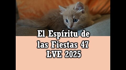 El Espíritu de las Fiestas 47