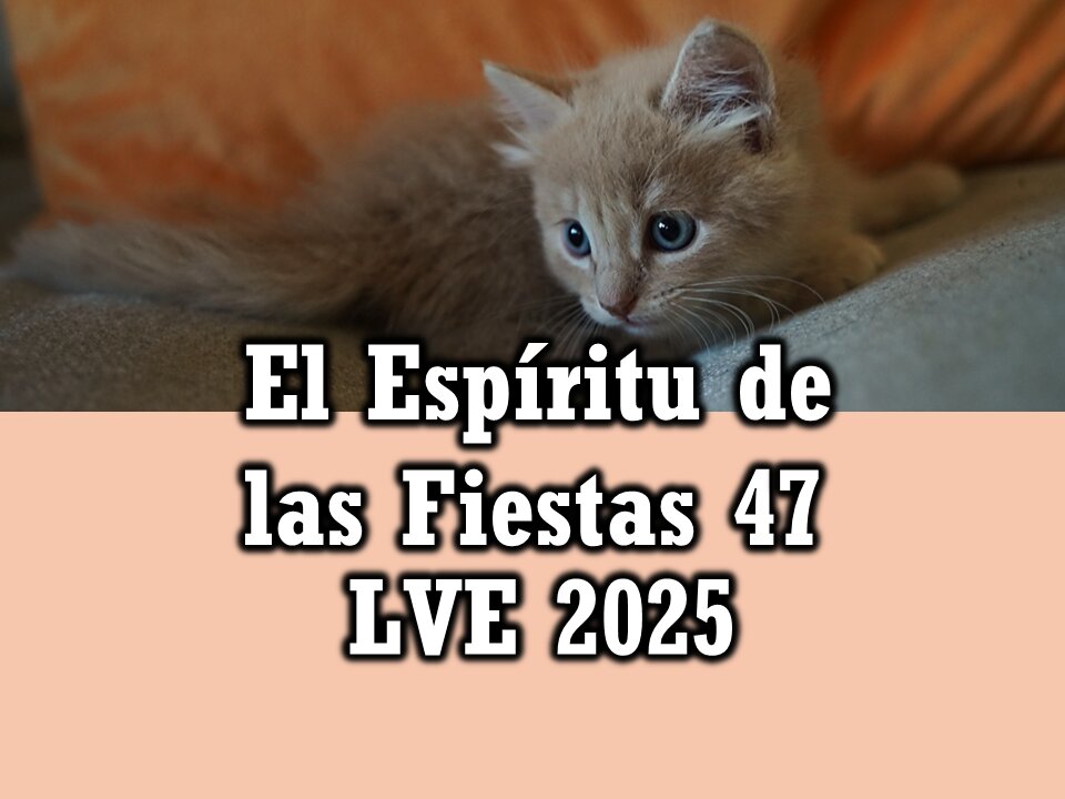 El Espíritu de las Fiestas 47