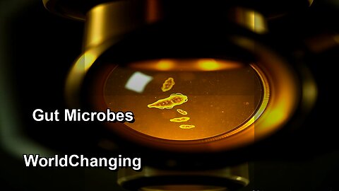 From the gut to the revolution Secrets of the microbes that changed the world?
