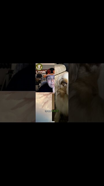 The Beautiful Genetics of Bo: Discovering His Unique Features