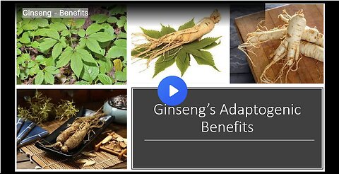 "Unlocking Health: The Remarkable Benefits of Ginseng for Wellness and Vitality"
