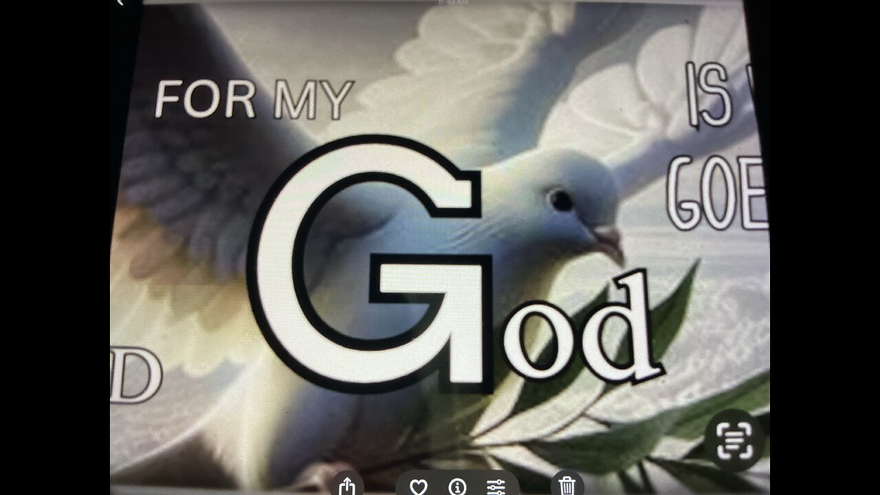 #169 Prayer & More