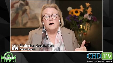 Catherine Fitts Thinks Epstein Cover-up Tied To $20 Trillion Missing From The Pentagon