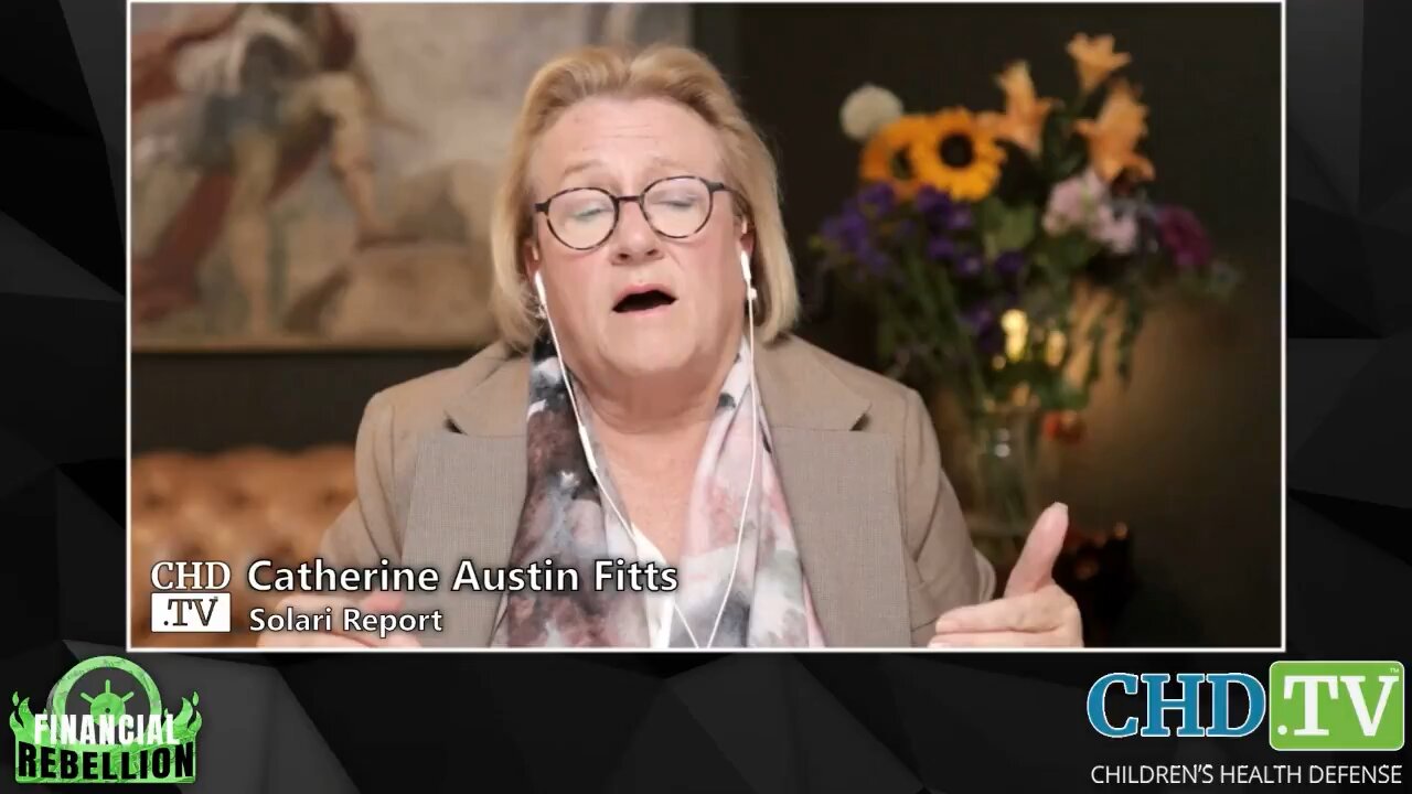 Catherine Fitts Thinks Epstein Cover-up Tied To $20 Trillion Missing From The Pentagon