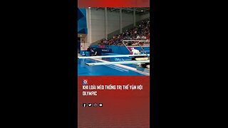 Love All Life Always #194 - What? I Bet You (Yes, YOU) Have Never Seen Diving Cats! Great Form! 10+