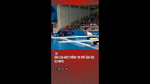 Love All Life Always #194 - What? I Bet You (Yes, YOU) Have Never Seen Diving Cats! Great Form! 10+