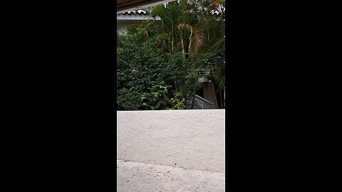"I Spent $1000 on the ULTIMATE Lifestyles Holiday Vacation Club Getaway! Tropical Paradise EXPOSED!