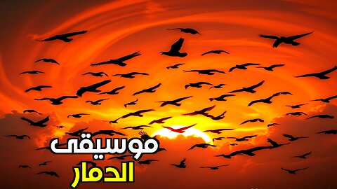 هل تتنبأ الموسيقى بالكوارث؟ أسرار الزلازل والأصوات الخفية
