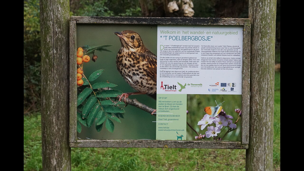 2024 Belgium: T'Poelbergbosje in Tielt