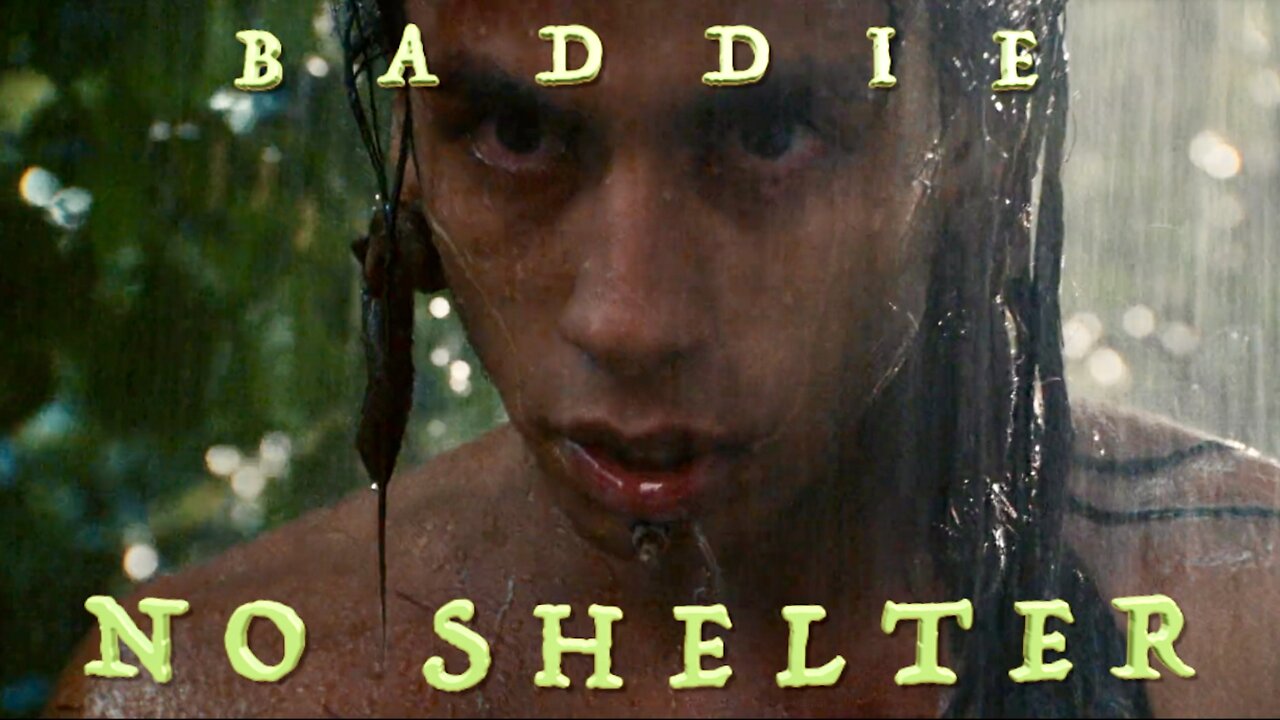 Baddie - No Shelter