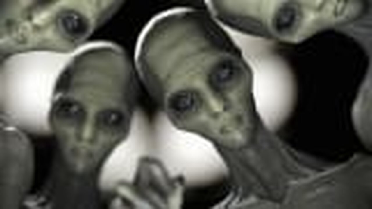 UFO Undercover- Extraterrestrial Experiences with Dolly Safran