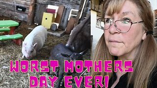 Pot Belly Pig Has The WORST Mothers Day EVER!