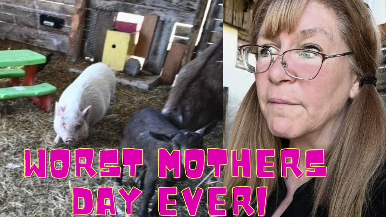 Pot Belly Pig Has The WORST Mothers Day EVER!