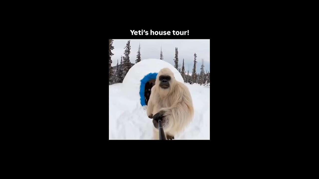 hello guys 🤠
