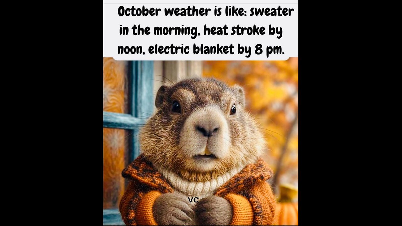 EXPOSE EXPOSE AND ELIMINATE ⚡️💥❤️👀👀👀👀👀👀👀👀👀