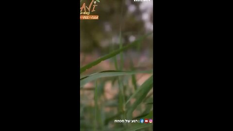 Historic - IDF Reservists were just called in to war right after 10/7