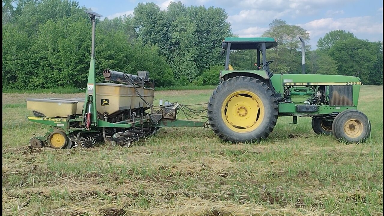 Planting corn