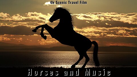 The Most Beautiful Wild Horses / Peaceful Nature Video / American Music