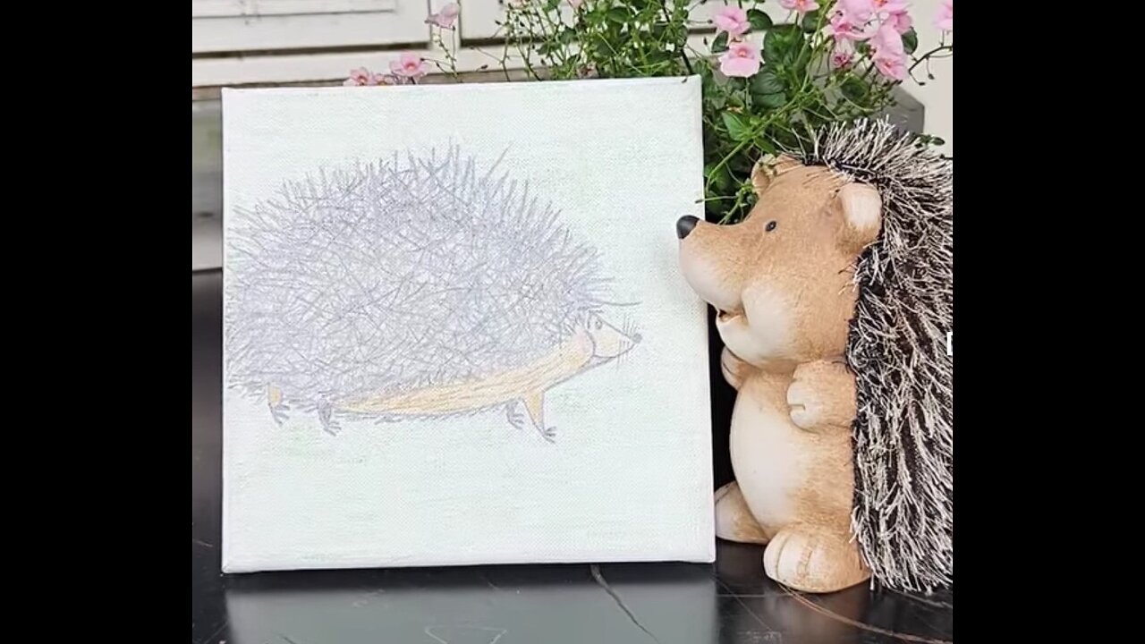 PORCUPINE - PIND SVIN - PUERCO ESPIN
