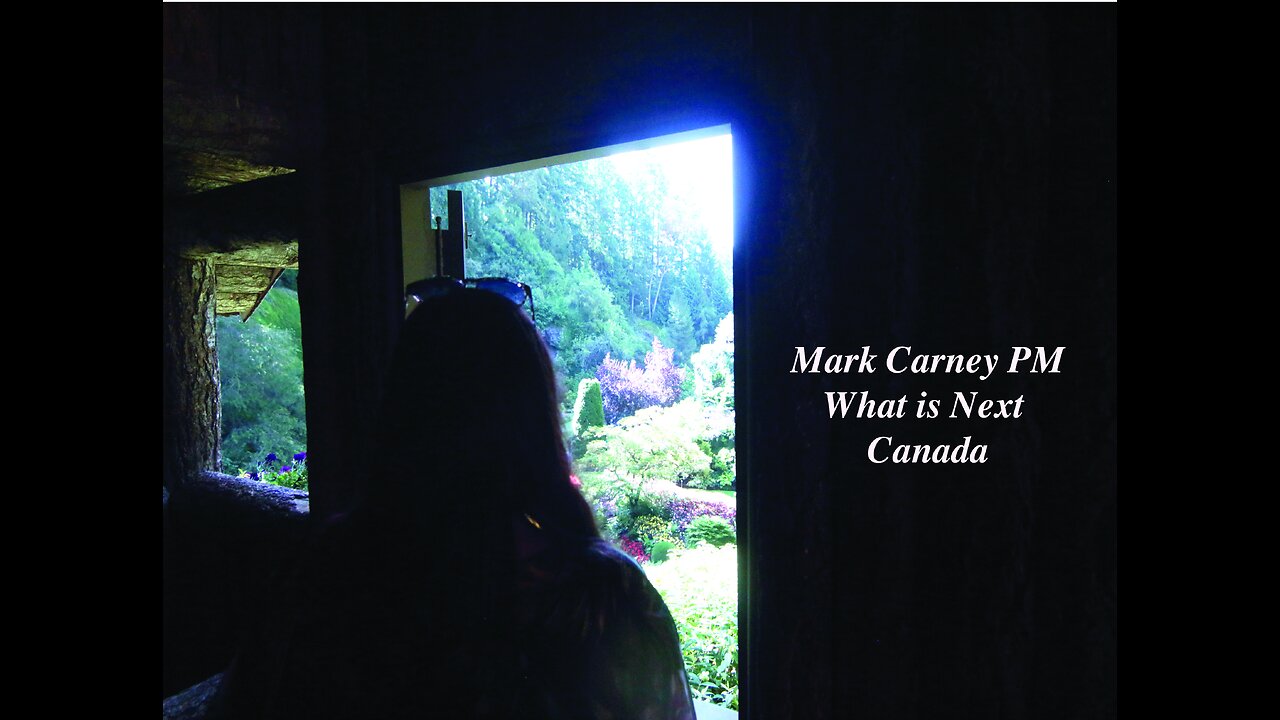 Mark Carney PM