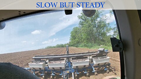 Slow But Steady
