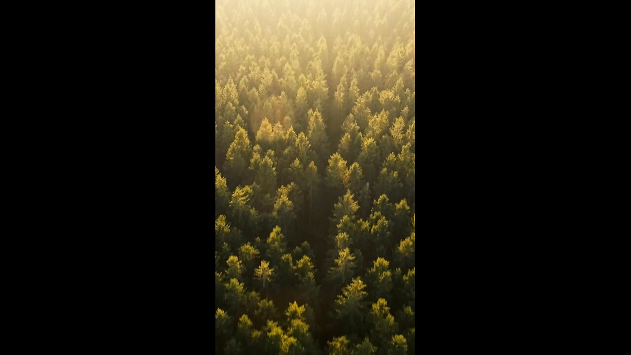 Backwoods Ballistics and Bourbon trailer