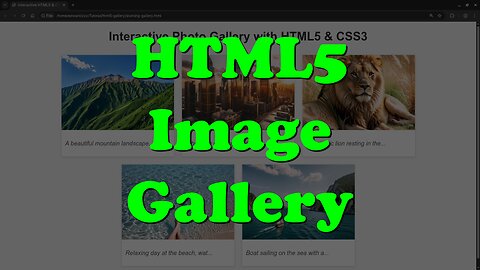 Create a Stunning Image Gallery with HTML5 & CSS3 (Beginner-Friendly!)