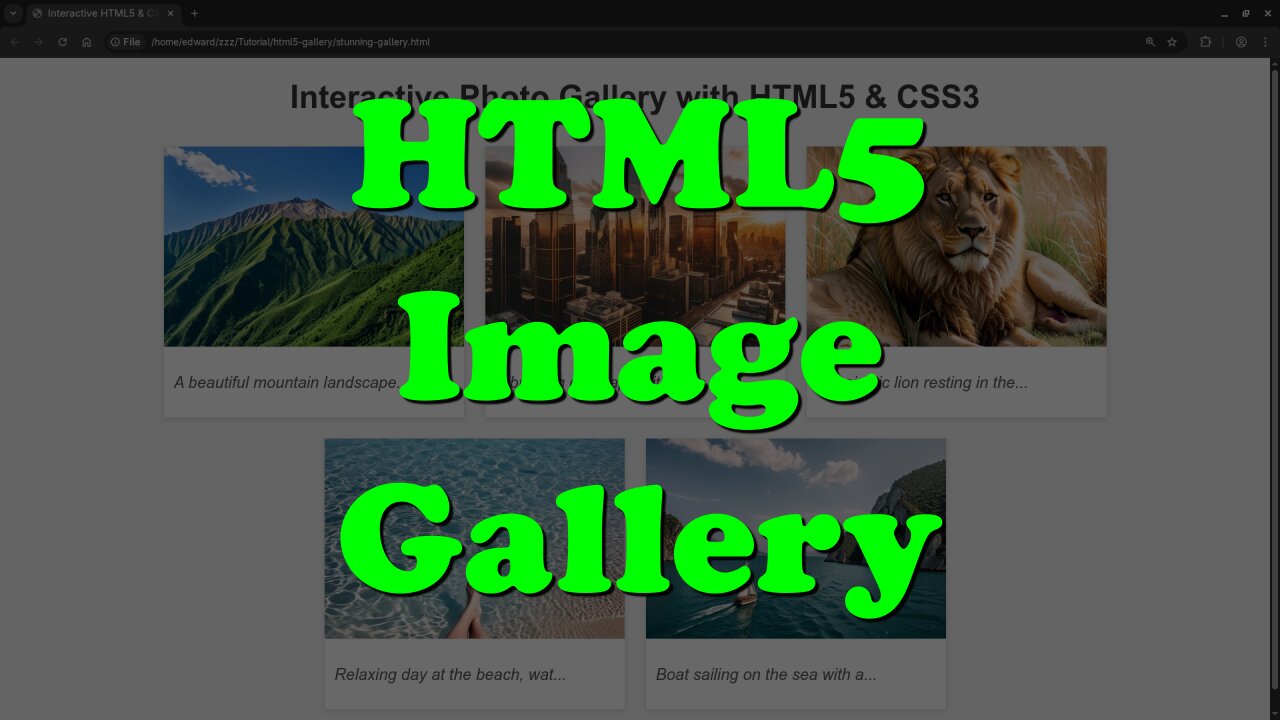 Create a Stunning Image Gallery with HTML5 & CSS3 (Beginner-Friendly!)