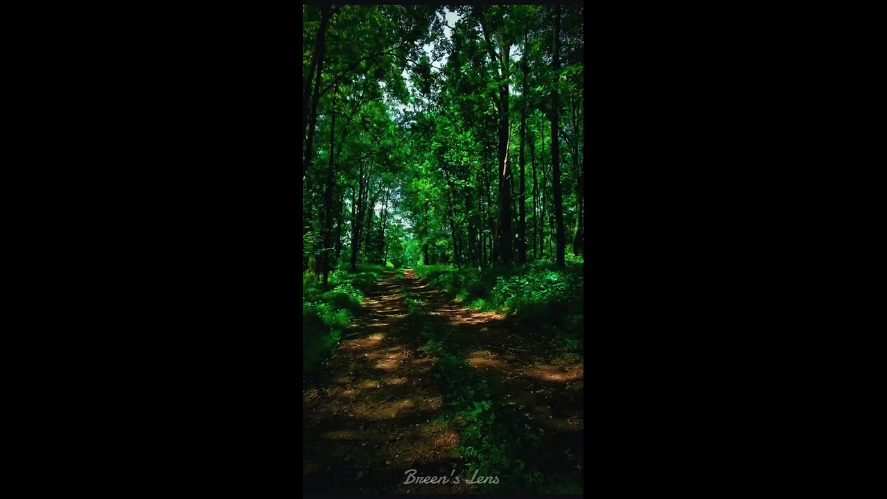 🌿 Walking through these woods, I’m reminded how short life really is