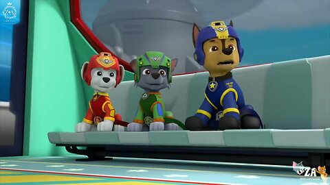 PAW Patrol Cartoons