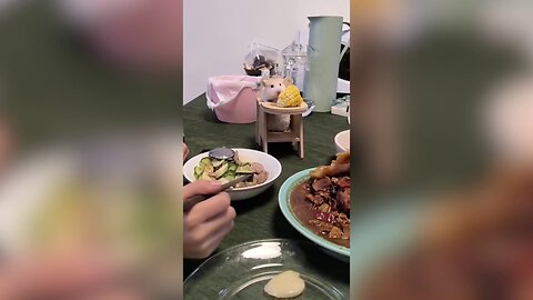 Family Welcomes Unusual Guest To Dinner Table In Tiny Baby Chair