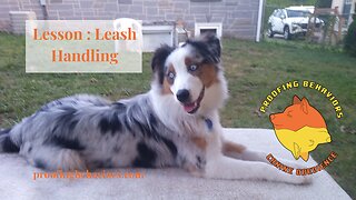 Leash Handling part 3