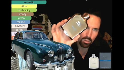Before You Buy Jaguar Classic Motion