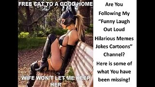 Are You Missing My Funny Laugh Out Loud Hilarious Videos?